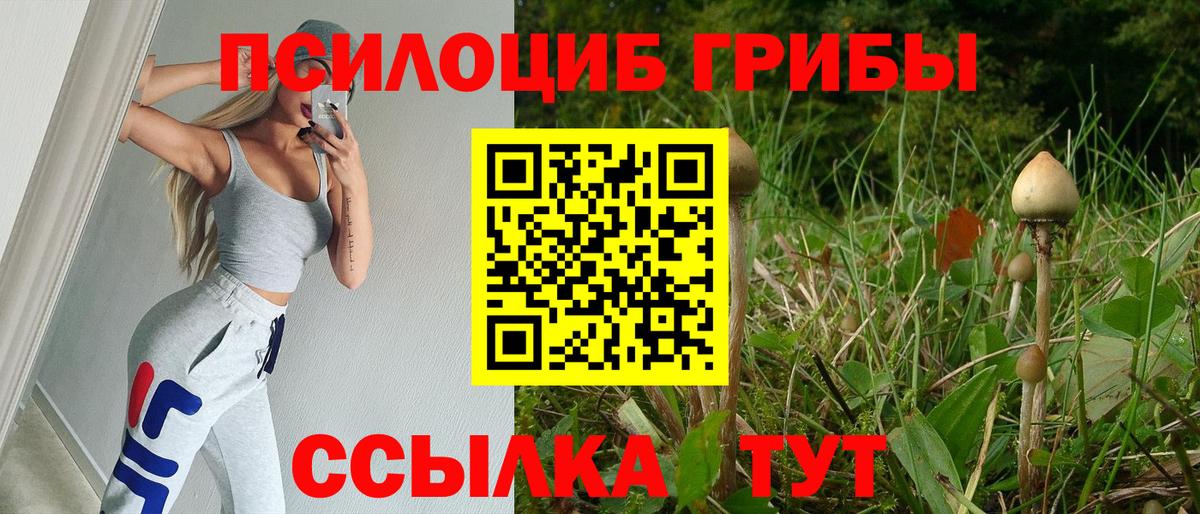 Галлюциногенные грибы ЛСД  Галлюциногенные грибы Magic Shrooms  Кириши  Вход с VPN 
