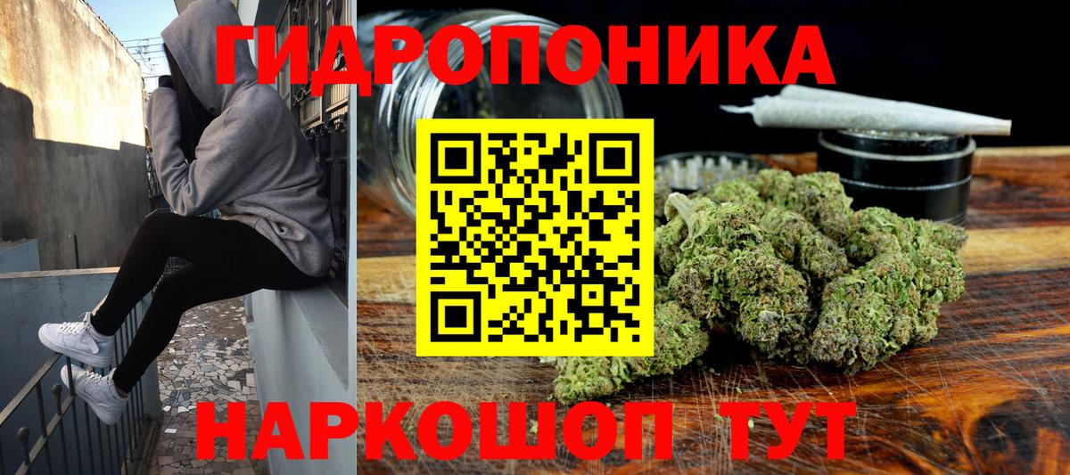 Шишки марихуана марихуана  Вход с VPN  Канабис семена  Кириши  Конопля марихуана 